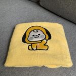 IMG_6150-e1592499094952.jpg