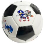 minge sonic the hedgehog2