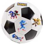 minge sonic the hedgehog