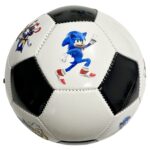 minge sonic the hedgehog2