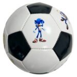 minge sonic the hedgehog2