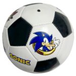 minge sonic the hedgehog2
