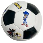 minge sonic the hedgehog2
