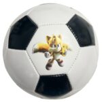 minge sonic the hedgehog2