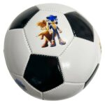 minge sonic the hedgehog2