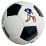 minge sonic the hedgehog2