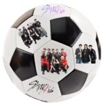 minge stray kids kpop stay trupa 1